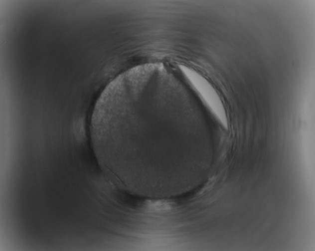 X0000088670520200706281924