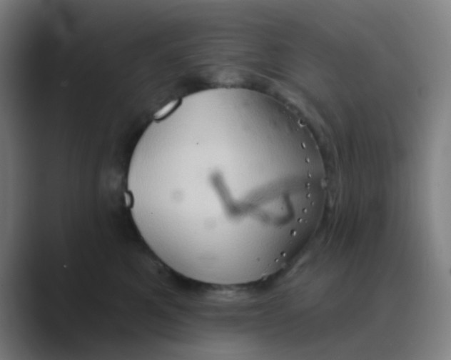 X0000088670521200706281924