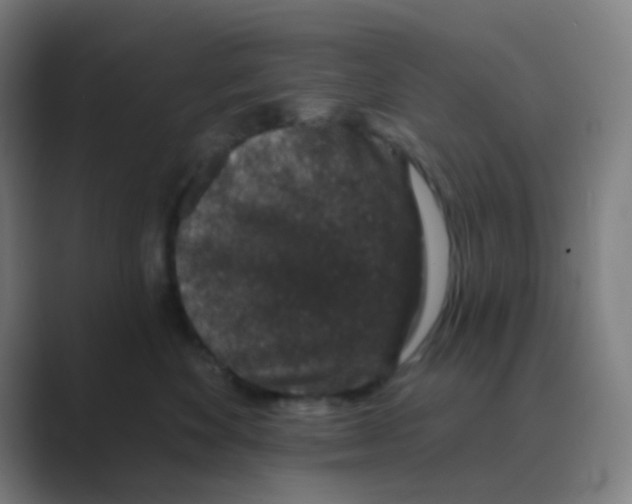 X0000088670524200706281924