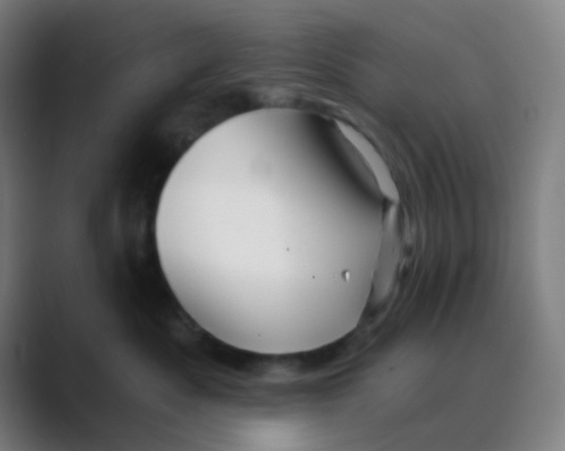 X0000088670525200706281924