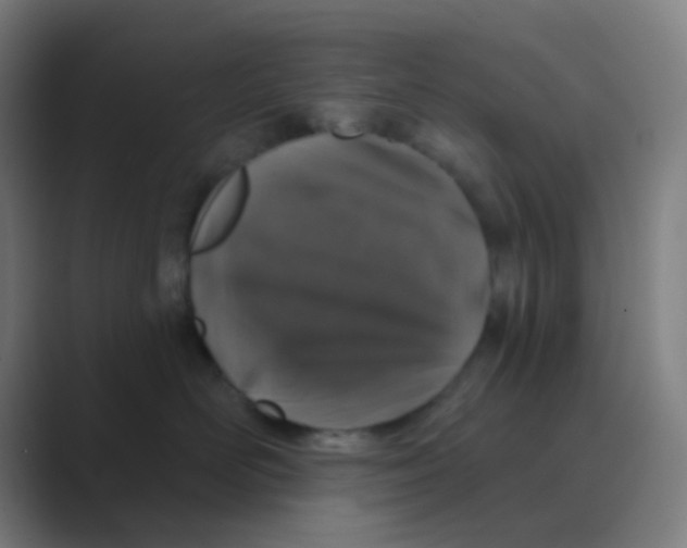 X0000088670526200706281924