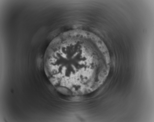 X0000088670527200706281924