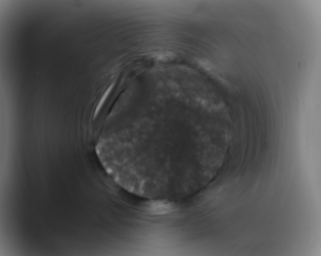 X0000088670528200706281924