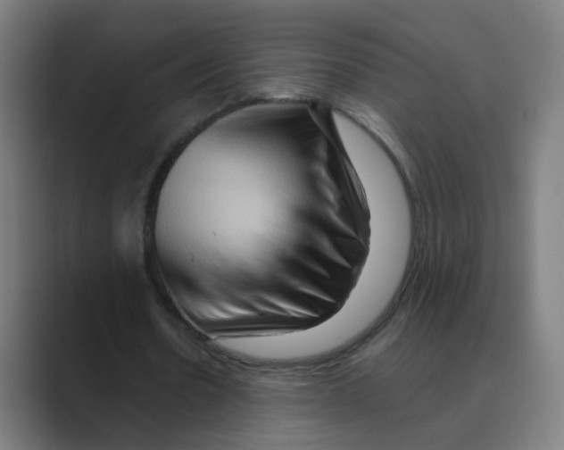 X0000088670530200706281923