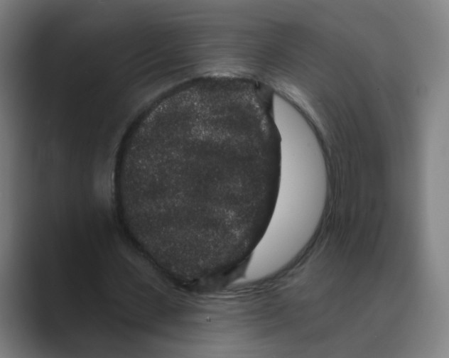 X0000088670531200706281923