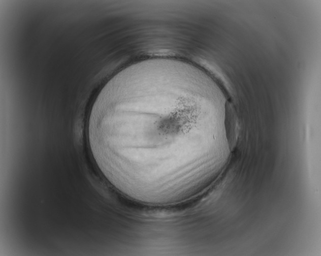 X0000088670533200706281923