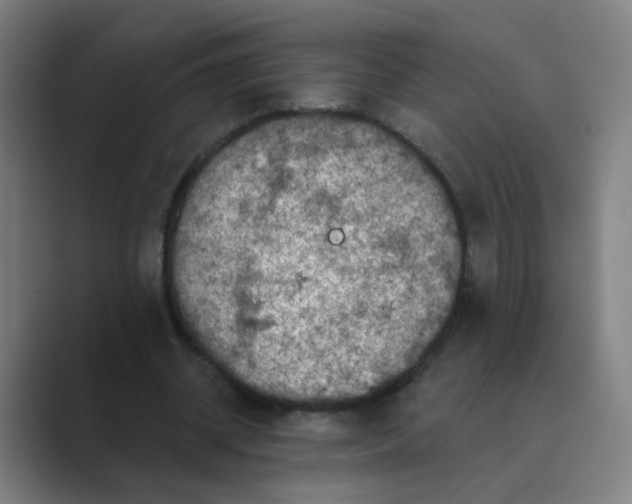 X0000088670534200706281923