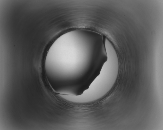 X0000088670536200706281923
