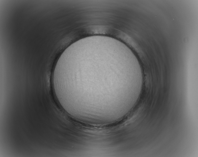 X0000088670537200706281923