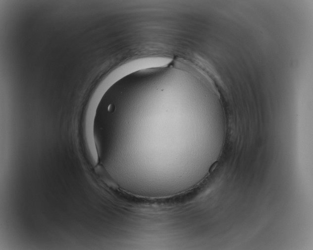 X0000088670538200706281923