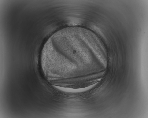 X0000088670539200706281923