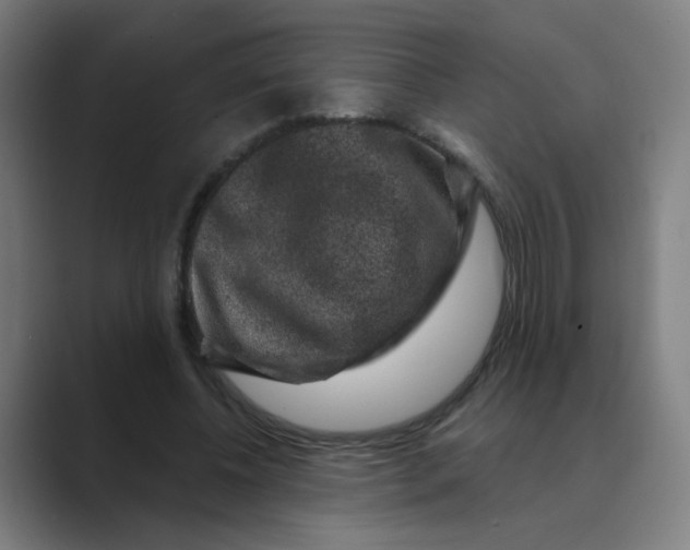 X0000088670540200706281923