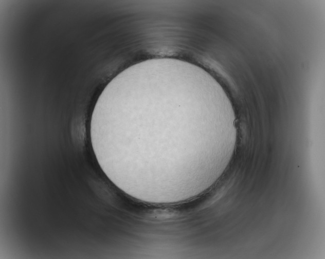 X0000088670541200706281923