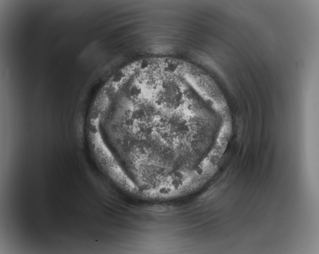 X0000088670542200706281923