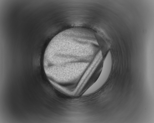X0000088670543200706281923