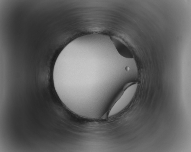 X0000088670544200706281923