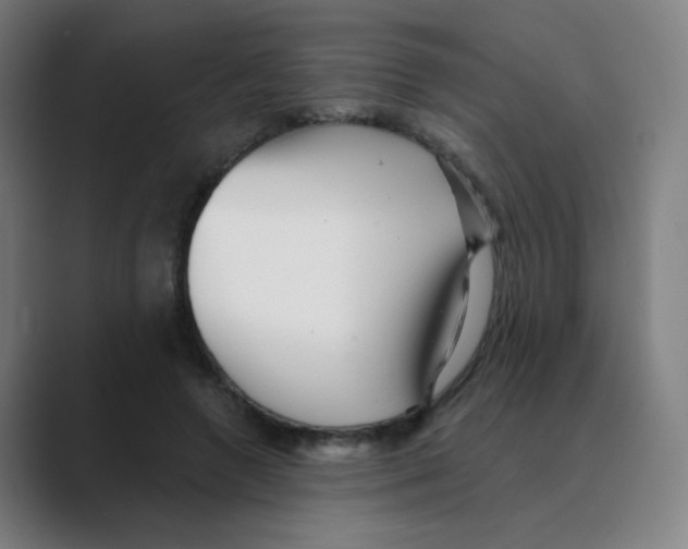 X0000088670546200706281923