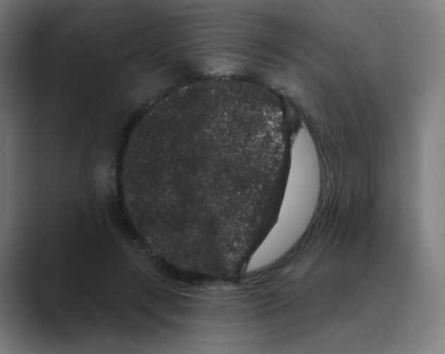 X0000088670547200706281923