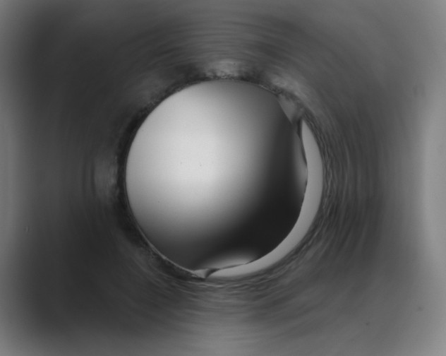 X0000088670548200706281923
