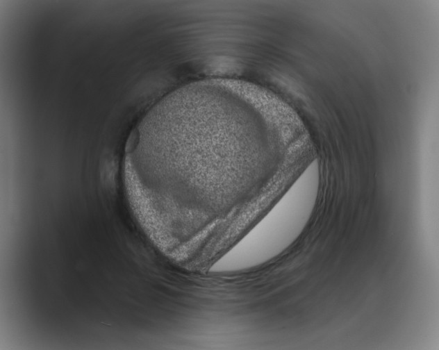 X0000088670550200706281924