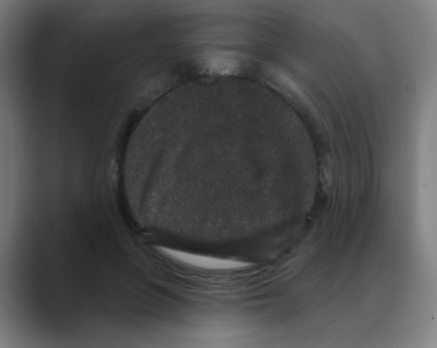 X0000088670551200706281924