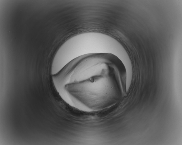 X0000088670552200706281924