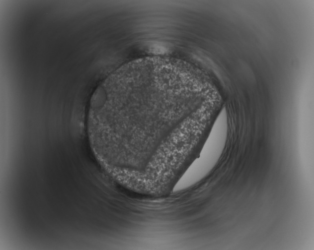 X0000088670553200706281924