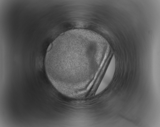 X0000088670554200706281924