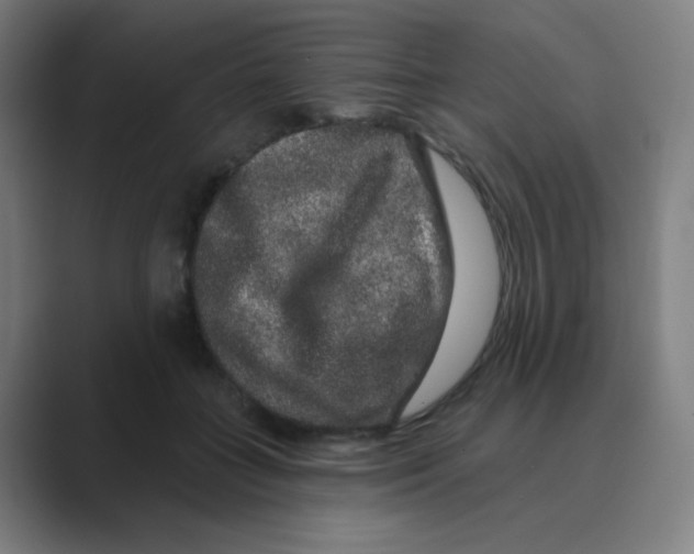 X0000088670555200706281924
