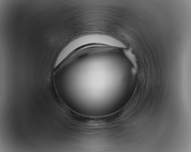 X0000088670556200706281924