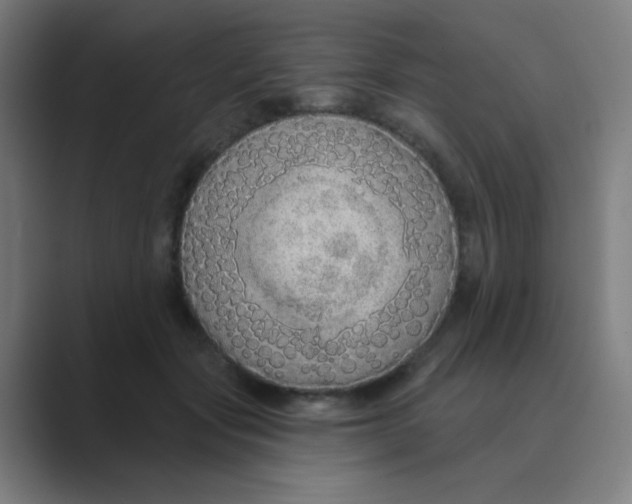 X0000088670557200706281924