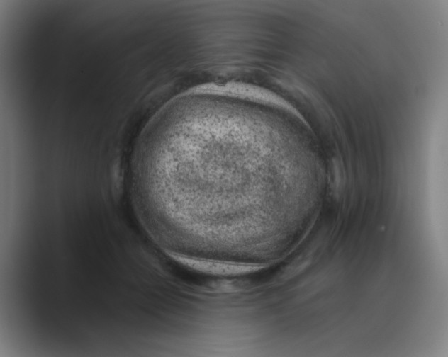X0000088670558200706281924
