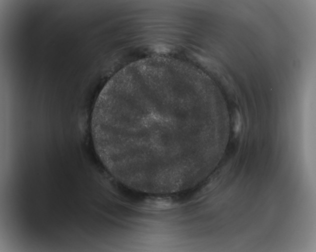 X0000088670559200706281924