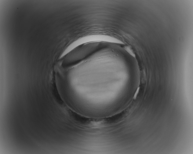 X0000088670560200706281924