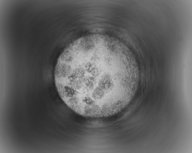 X0000088670561200706281924