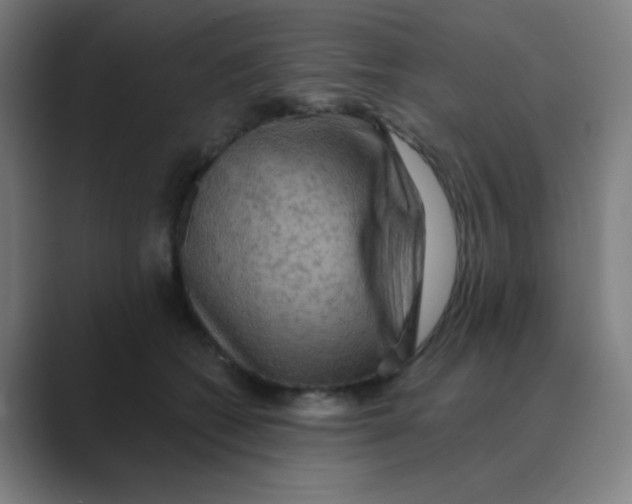 X0000088670562200706281924
