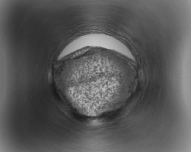 X0000088670564200706281924