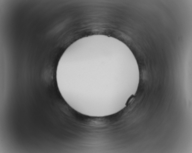 X0000088670567200706281924