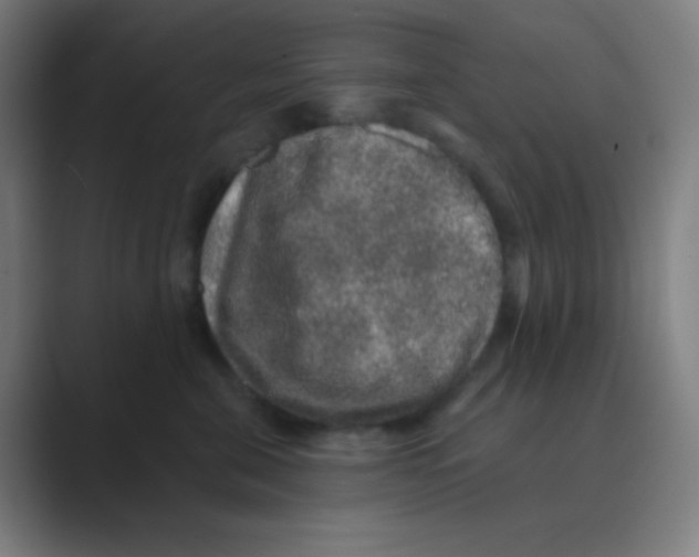 X0000088670571200706281924