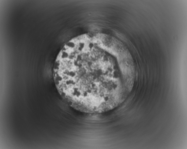 X0000088670573200706281924