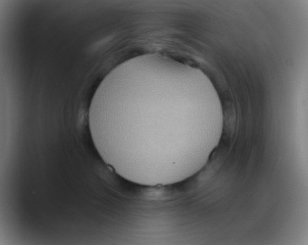 X0000088670574200706281924