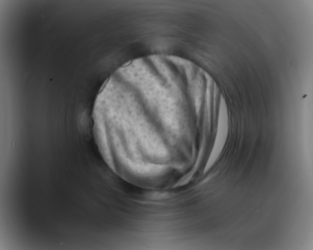 X0000088670575200706281924