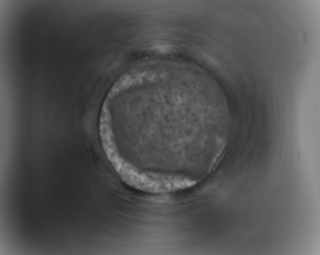 X0000088670576200706281924