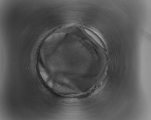 X0000088670577200706281923