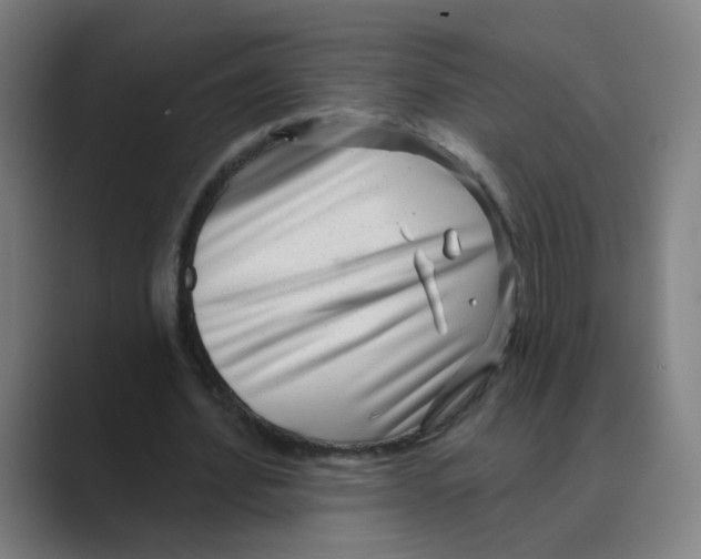 X0000088670580200706281923