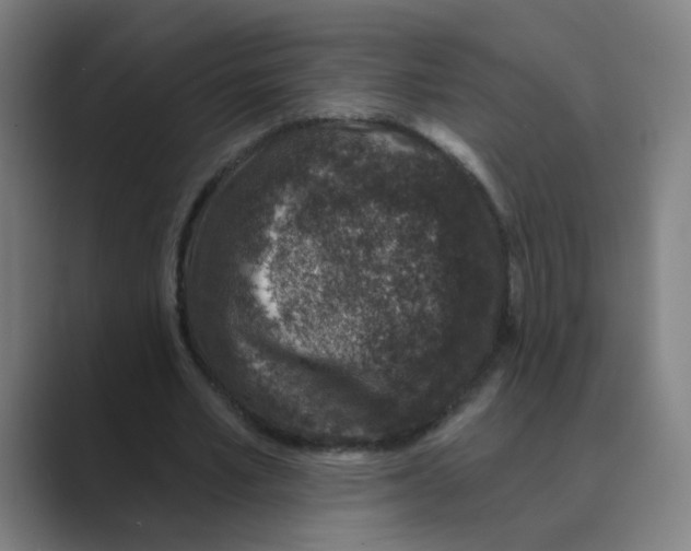 X0000088670581200706281923