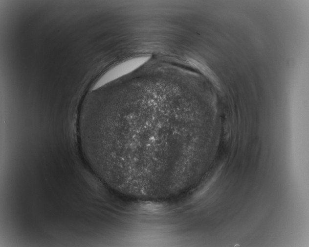 X0000088670585200706281923
