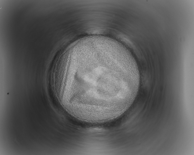 X0000088670586200706281923