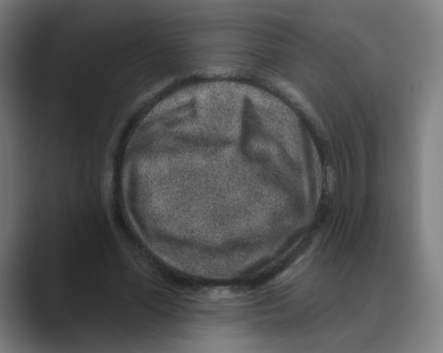 X0000088670588200706281923