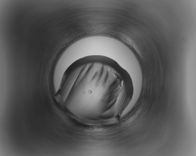 X0000088670589200706281923